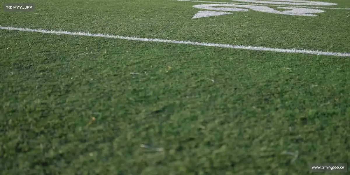 南宫NG28🏋️‍♀️力量与汗水的碰撞，健康与梦想的共鸣 —— 运动，从这里出发！